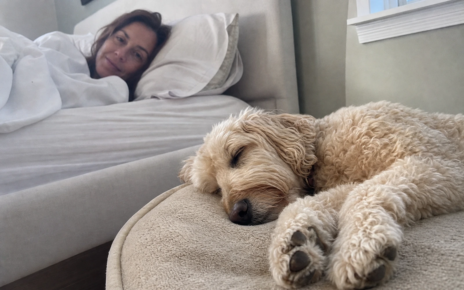 A dog sleeping peacefully and completely still on the floor beside the bed